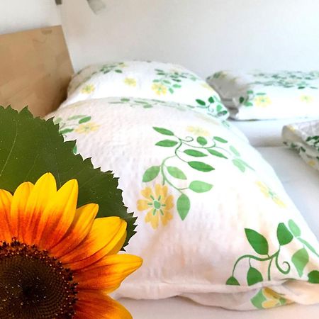 Ferienhof Biegger Tettnang Kültér fotó