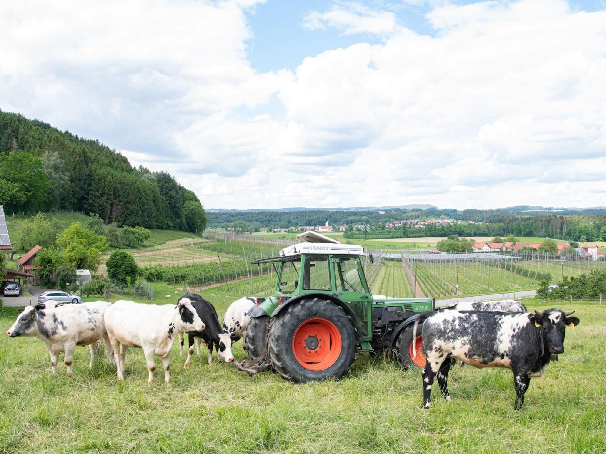 Ferienhof Biegger Tettnang Kültér fotó